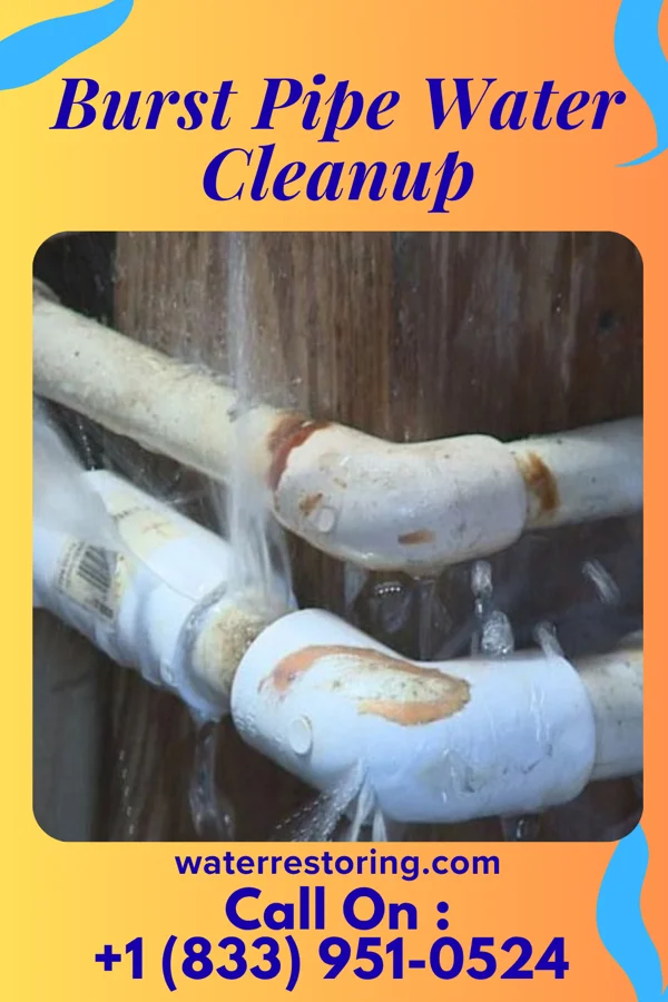 Burst Pipe Water Cleanup in Appalachia, VA