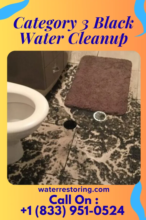 Category 3 Black Water Cleanup in Appalachia, VA